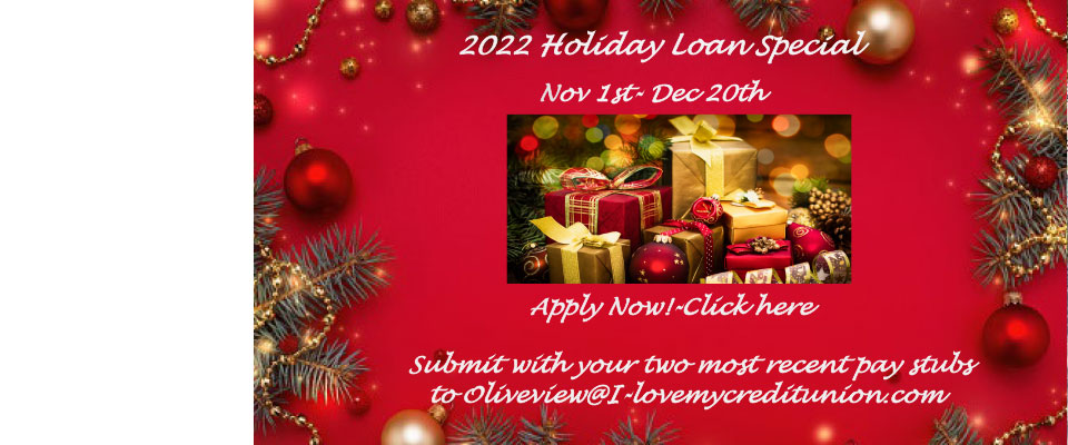Download First Steps loan application