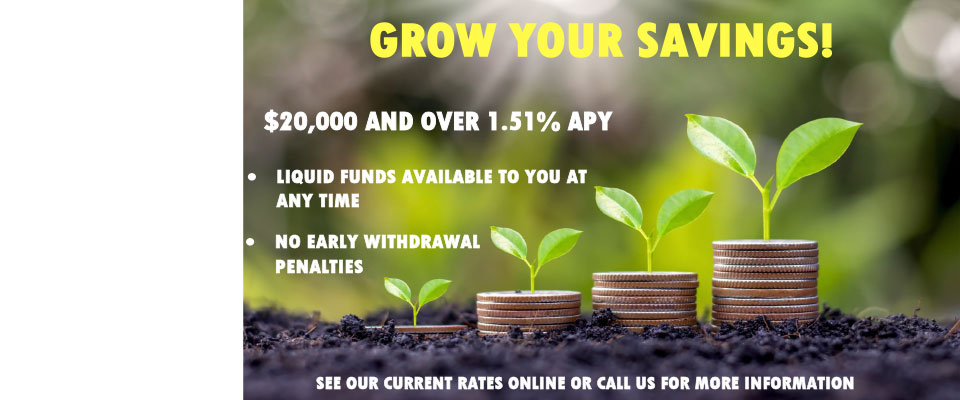 grow_your_saving